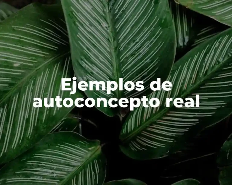 Ejemplos de autoconcepto real