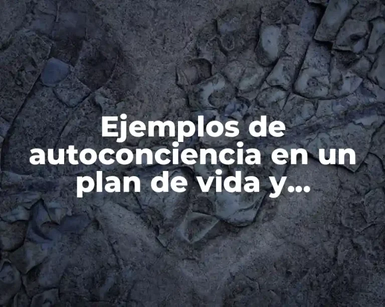 Ejemplos de autoconciencia en un plan de vida y Significado