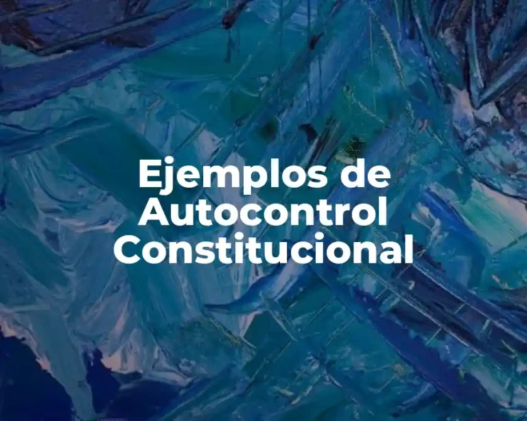 Ejemplos de Autocontrol Constitucional