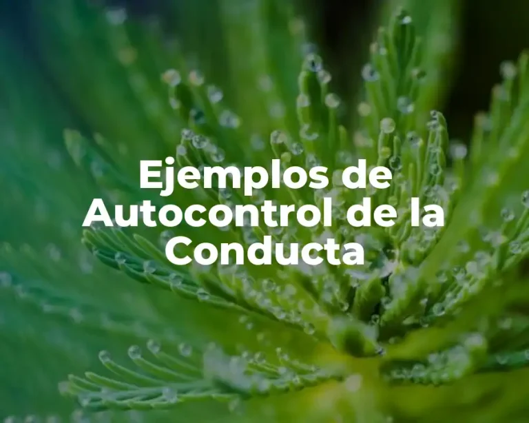 Ejemplos de Autocontrol de la Conducta
