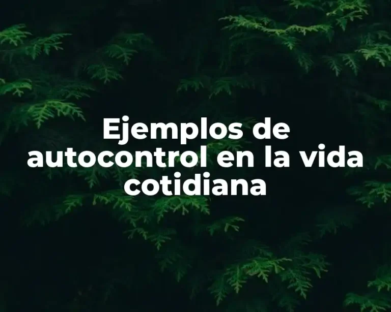 Ejemplos de autocontrol en la vida cotidiana