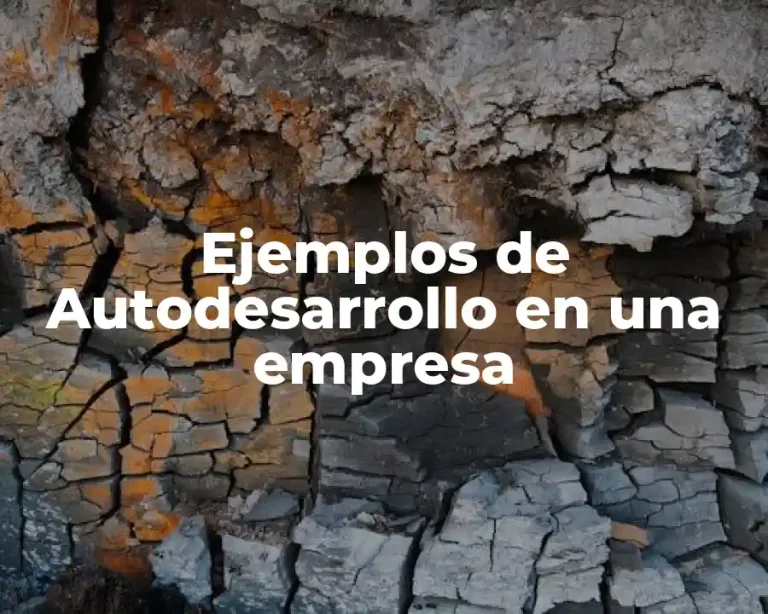Ejemplos de Autodesarrollo en una empresa