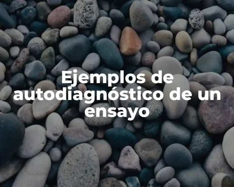 Ejemplos de autodiagnóstico de un ensayo