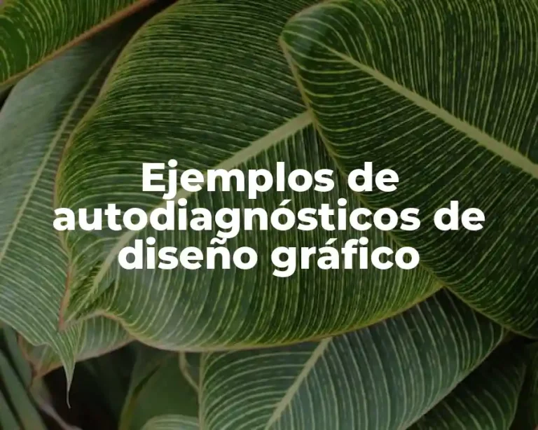 Ejemplos de autodiagnósticos de diseño gráfico