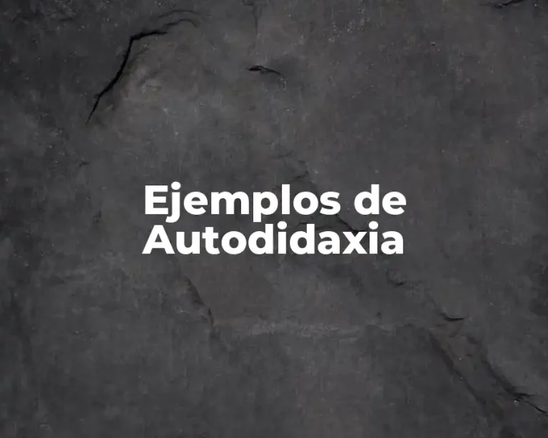 Ejemplos de Autodidaxia