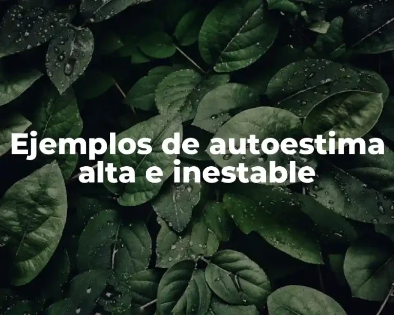 Ejemplos de autoestima alta e inestable