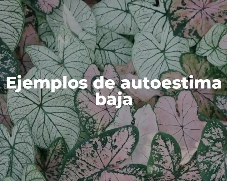 Ejemplos de autoestima baja