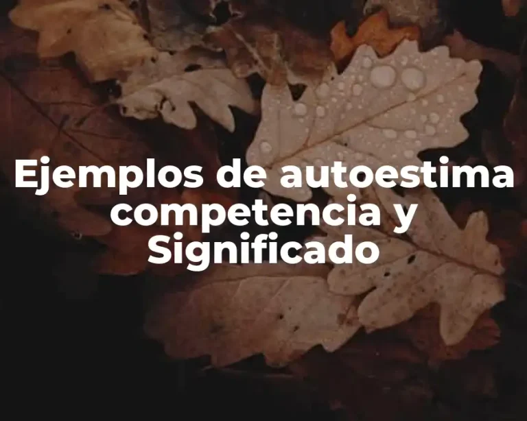 Ejemplos de autoestima competencia y Significado