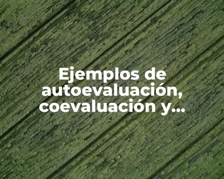 Ejemplos de autoevaluación, coevaluación y heteroevaluación