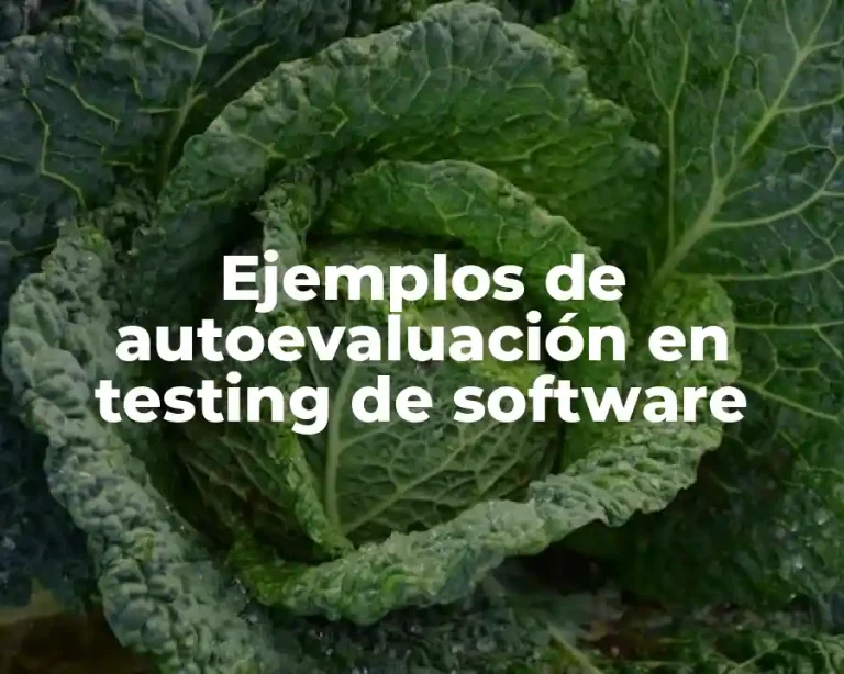 Ejemplos de autoevaluación en testing de software