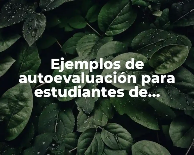 Ejemplos de autoevaluación para estudiantes de secundaria y Significado