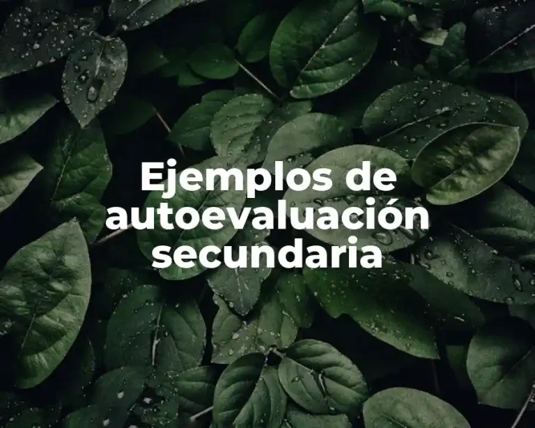Ejemplos de autoevaluación secundaria