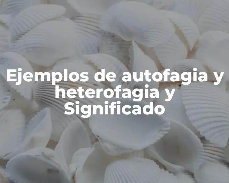 Ejemplos de autofagia y heterofagia y Significado