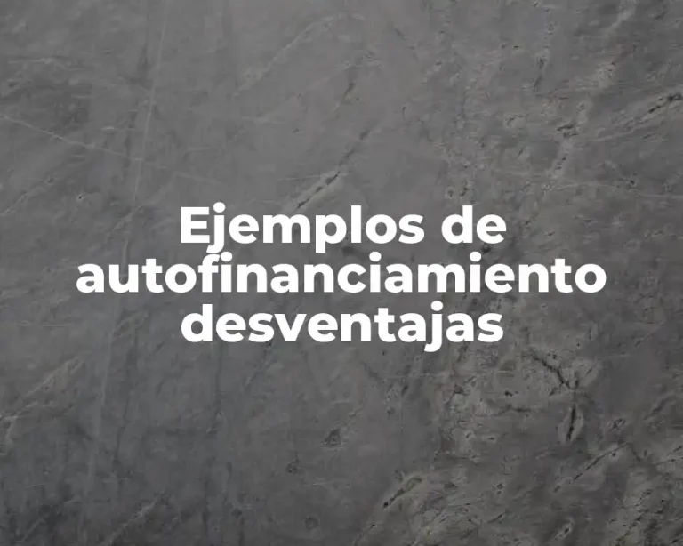 Ejemplos de autofinanciamiento desventajas
