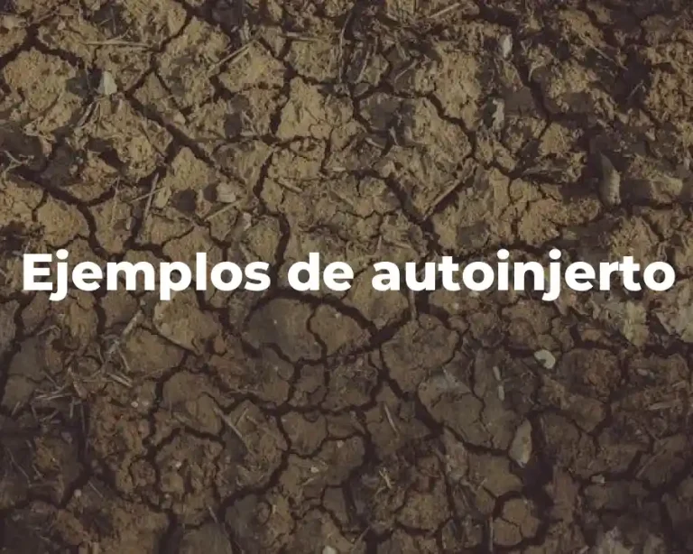 Ejemplos de autoinjerto