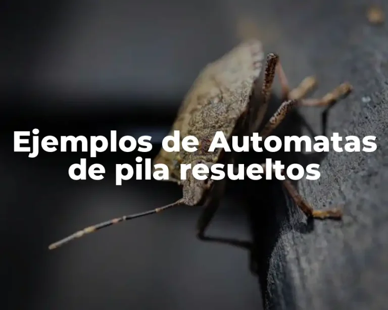 Ejemplos de Automatas de pila resueltos