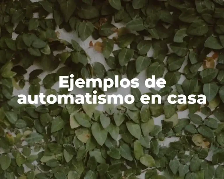 Ejemplos de automatismo en casa