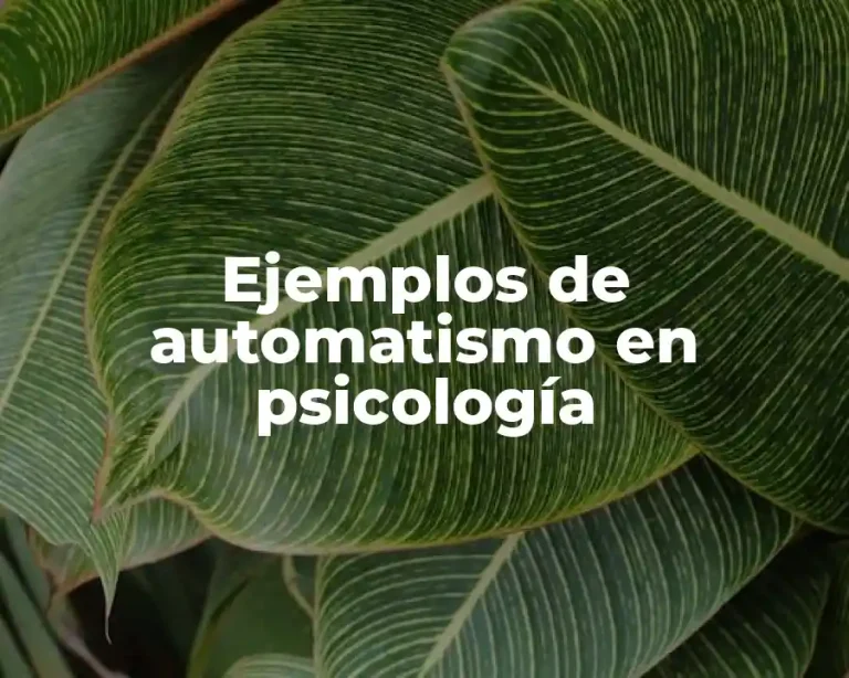 Ejemplos de automatismo en psicología