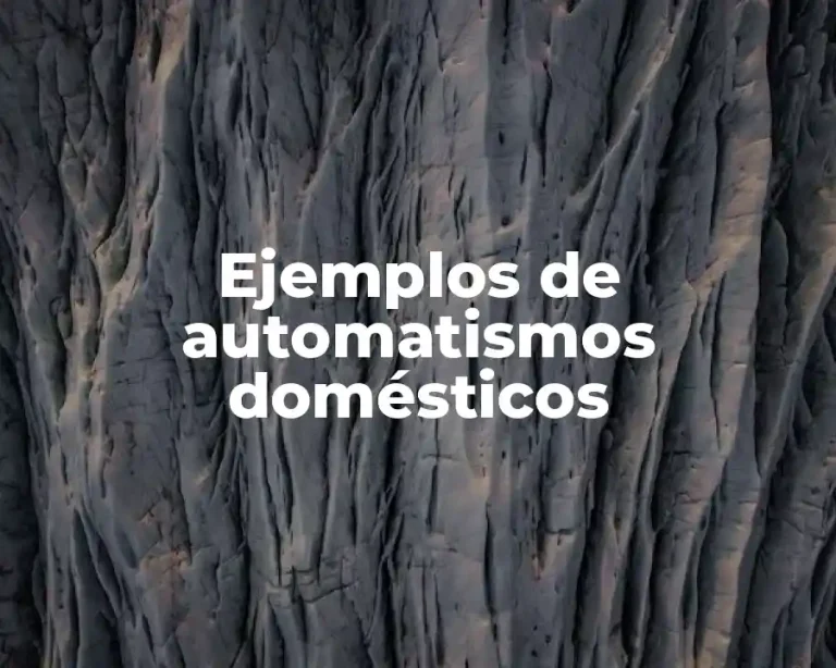 Ejemplos de automatismos domésticos