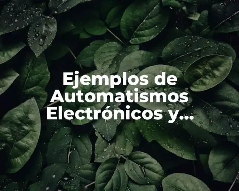 Ejemplos de Automatismos Electrónicos y Significado