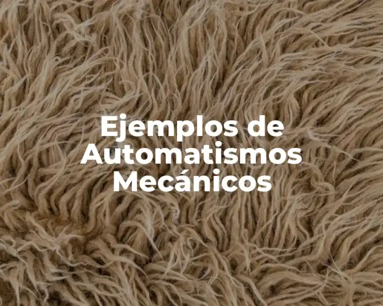 Ejemplos de Automatismos Mecánicos