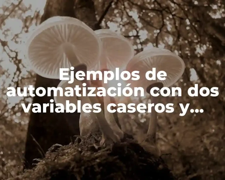 Ejemplos de automatización con dos variables caseros y Significado