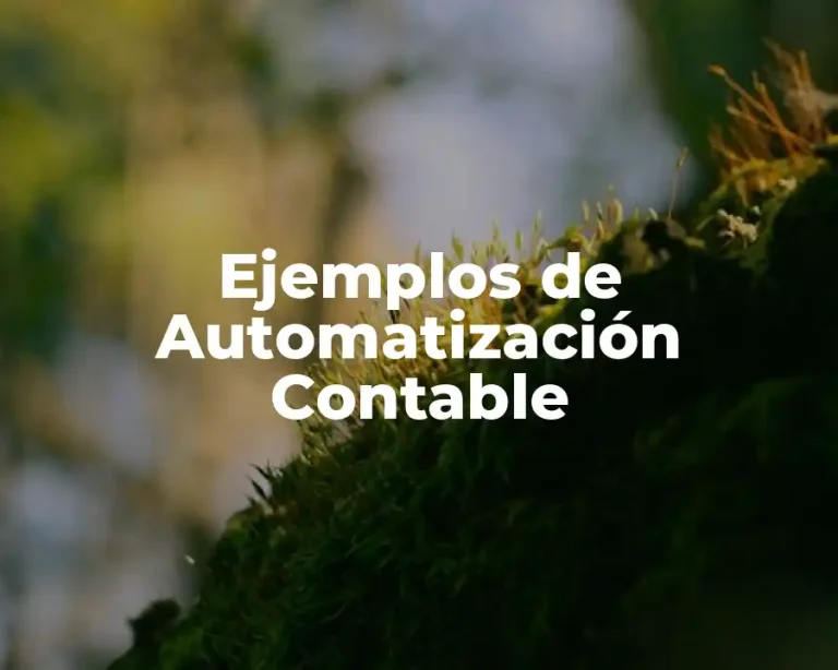 Ejemplos de Automatización Contable
