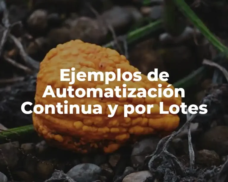 Ejemplos de Automatización Continua y por Lotes