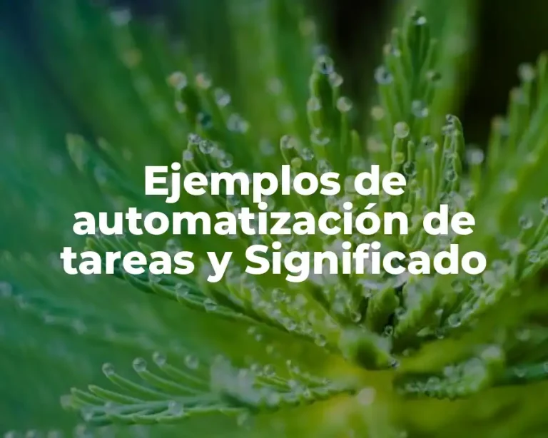 Ejemplos de automatización de tareas y Significado