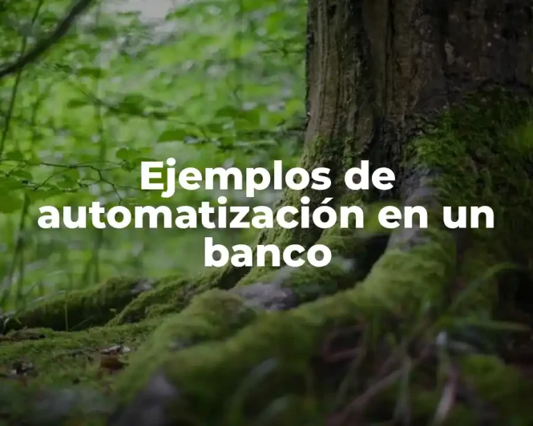 Ejemplos de automatización en un banco