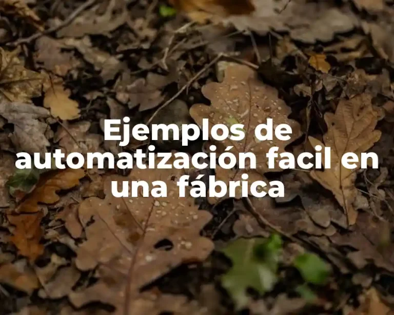 Ejemplos de automatización facil en una fábrica