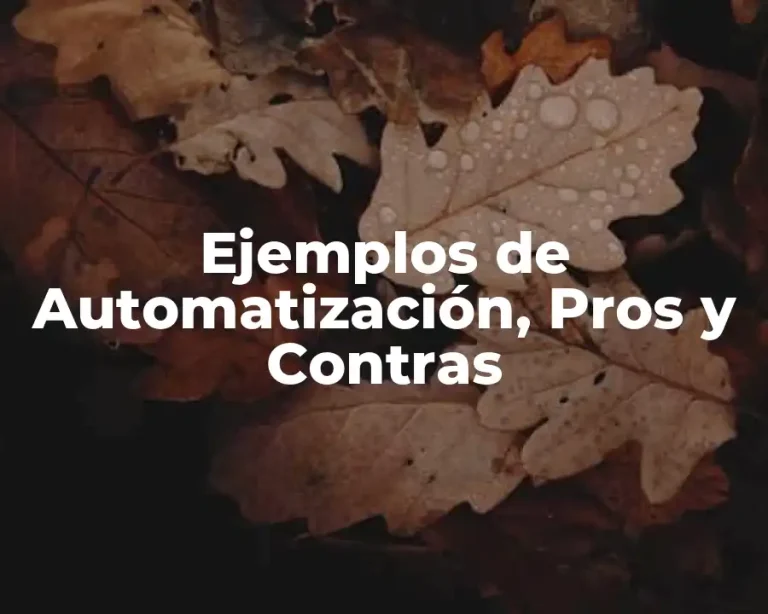 Ejemplos de Automatización, Pros y Contras