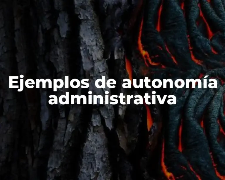 Ejemplos de autonomía administrativa
