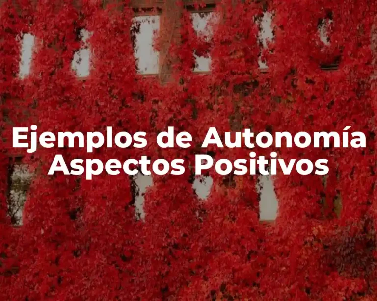 Ejemplos de Autonomía Aspectos Positivos