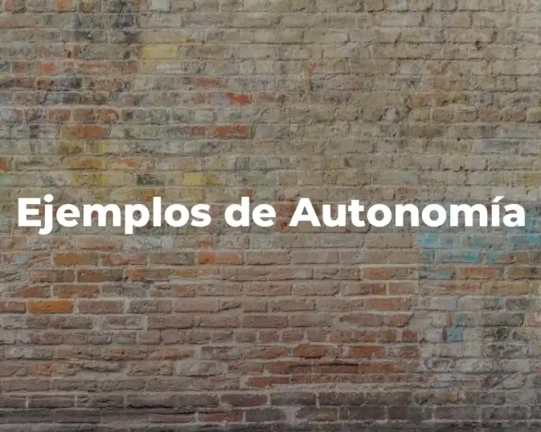 Ejemplos de Autonomía