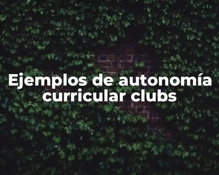 Ejemplos de autonomía curricular clubs