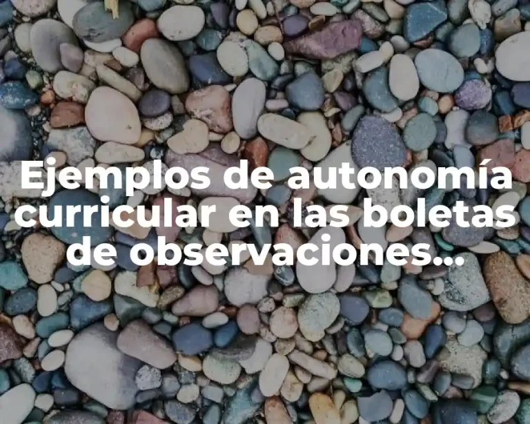 Ejemplos de autonomía curricular en las boletas de observaciones preescolar y Significado