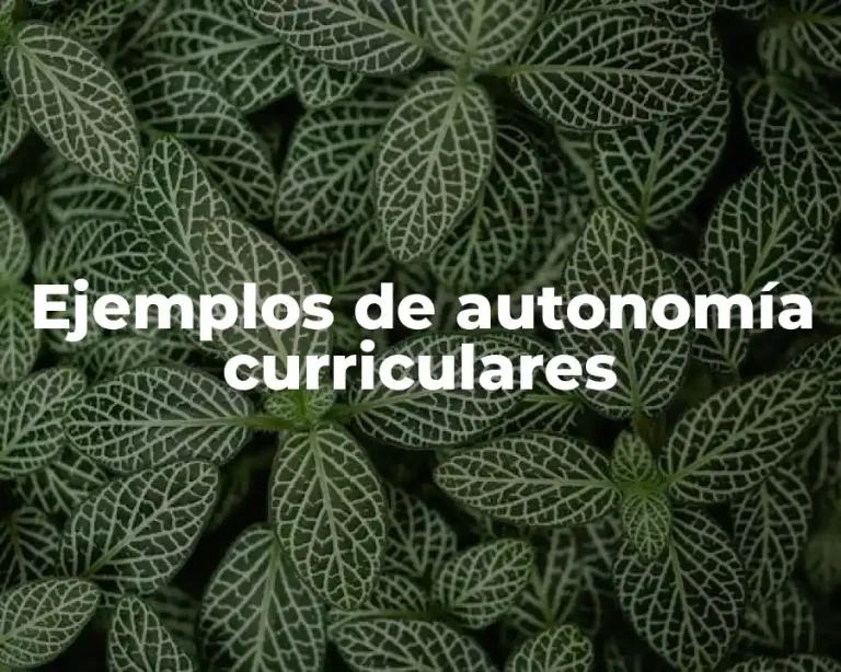 Ejemplos de autonomía curriculares