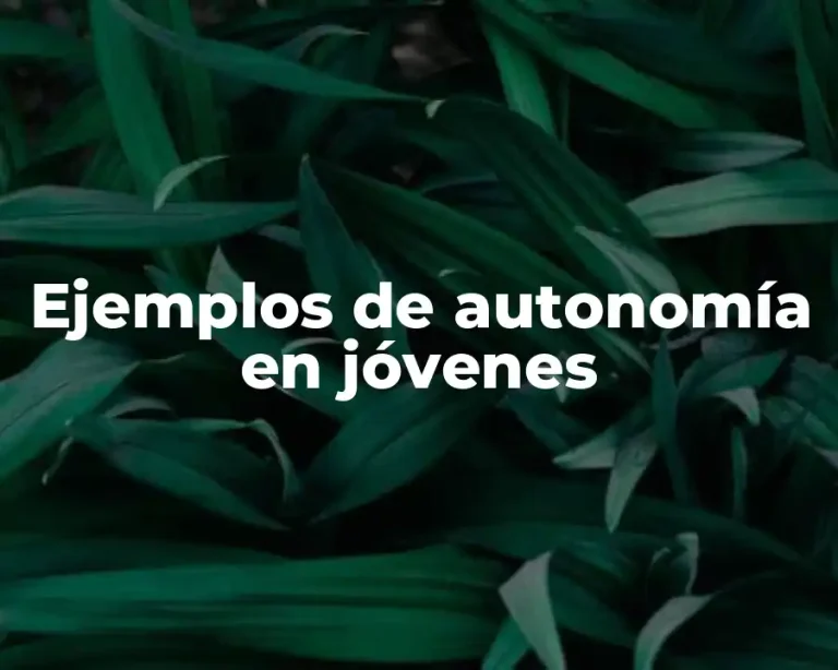 Ejemplos de autonomía en jóvenes