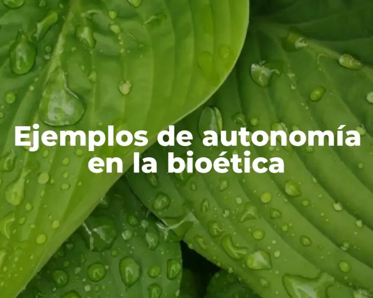 Ejemplos de autonomía en la bioética