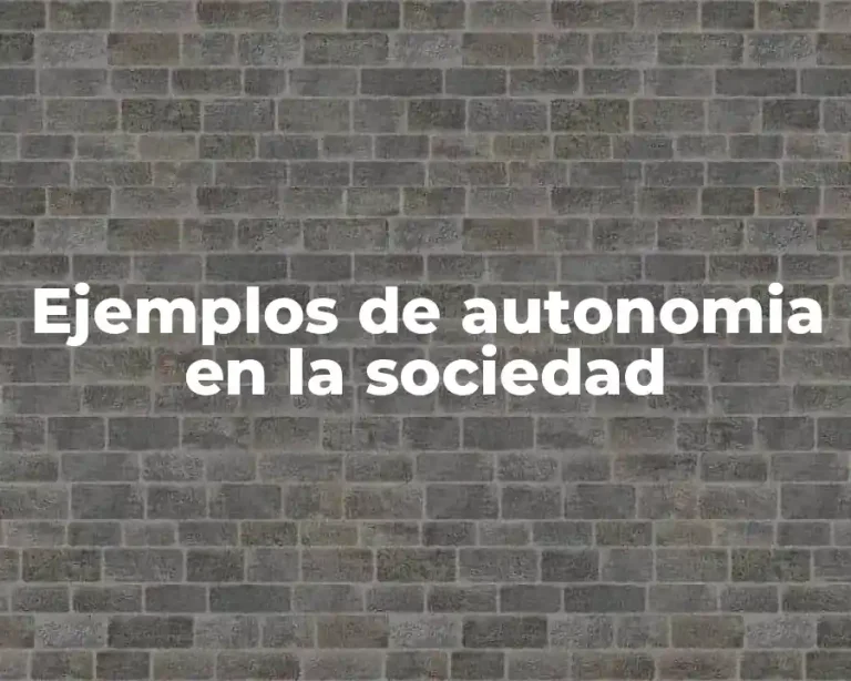 Ejemplos de autonomia en la sociedad