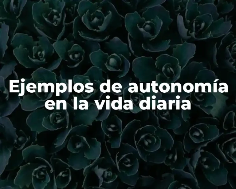 Ejemplos de autonomía en la vida diaria