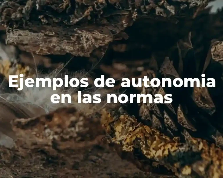 Ejemplos de autonomia en las normas