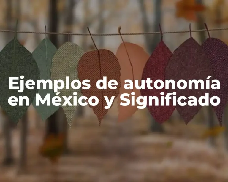 Ejemplos de autonomía en México y Significado