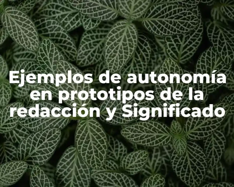 Ejemplos de autonomía en prototipos de la redacción y Significado