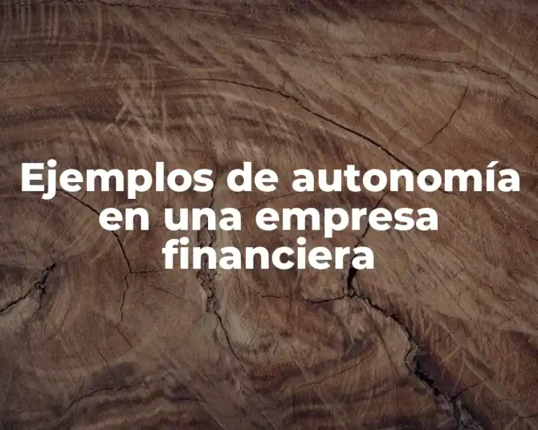 Ejemplos de autonomía en una empresa financiera