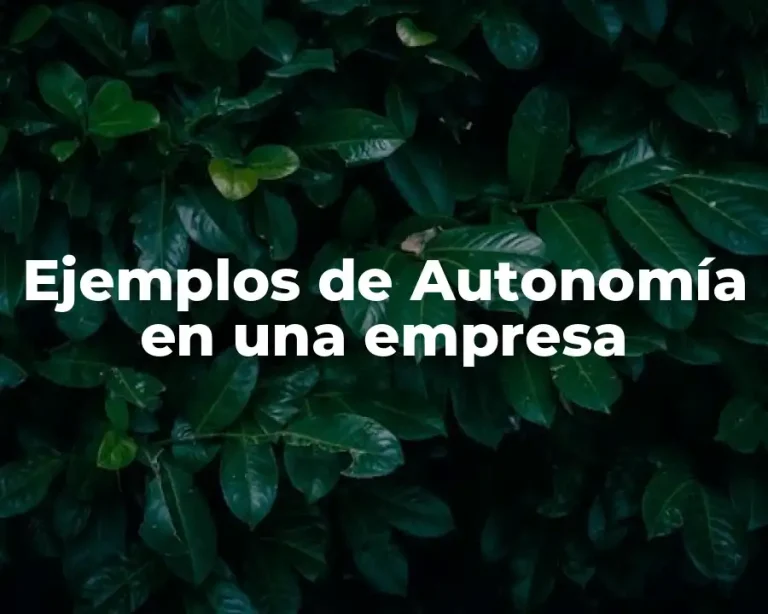Ejemplos de Autonomía en una empresa