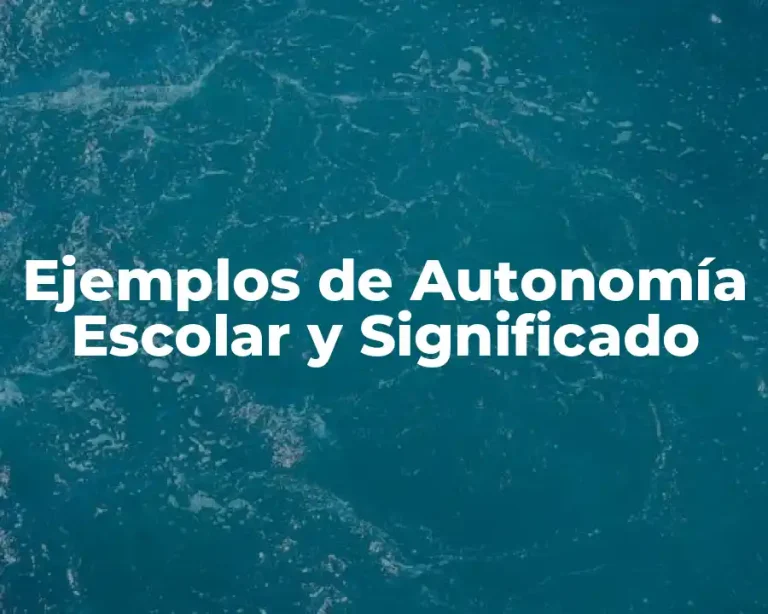 Ejemplos de Autonomía Escolar y Significado