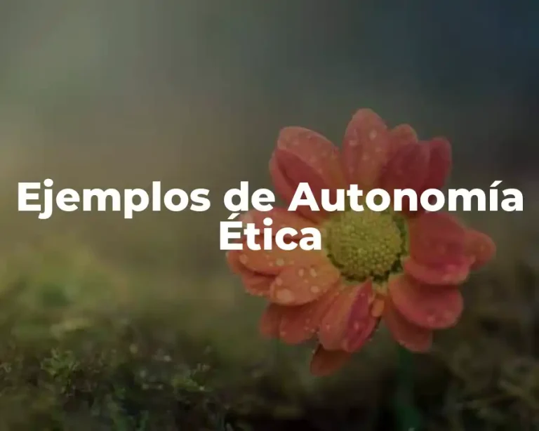 Ejemplos de Autonomía Ética