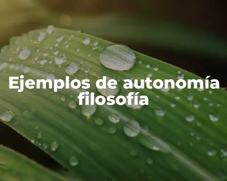 Ejemplos de autonomía filosofía